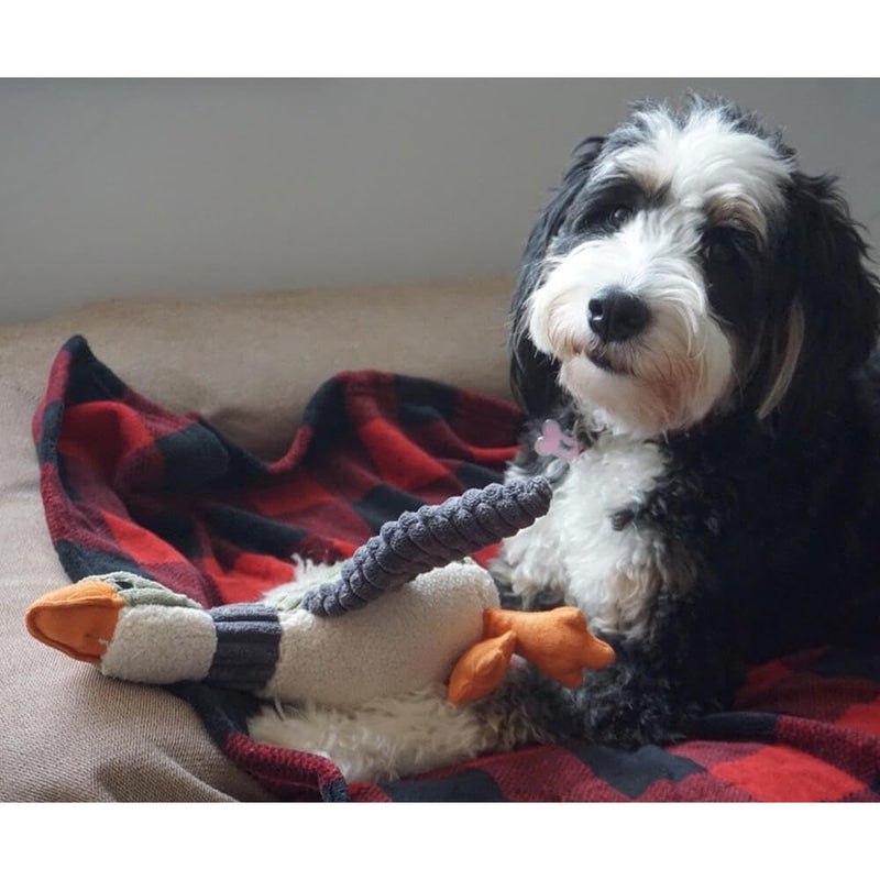 Tall Tails Classic Plush Squeaker Toy for Dogs, Duck - Image 3